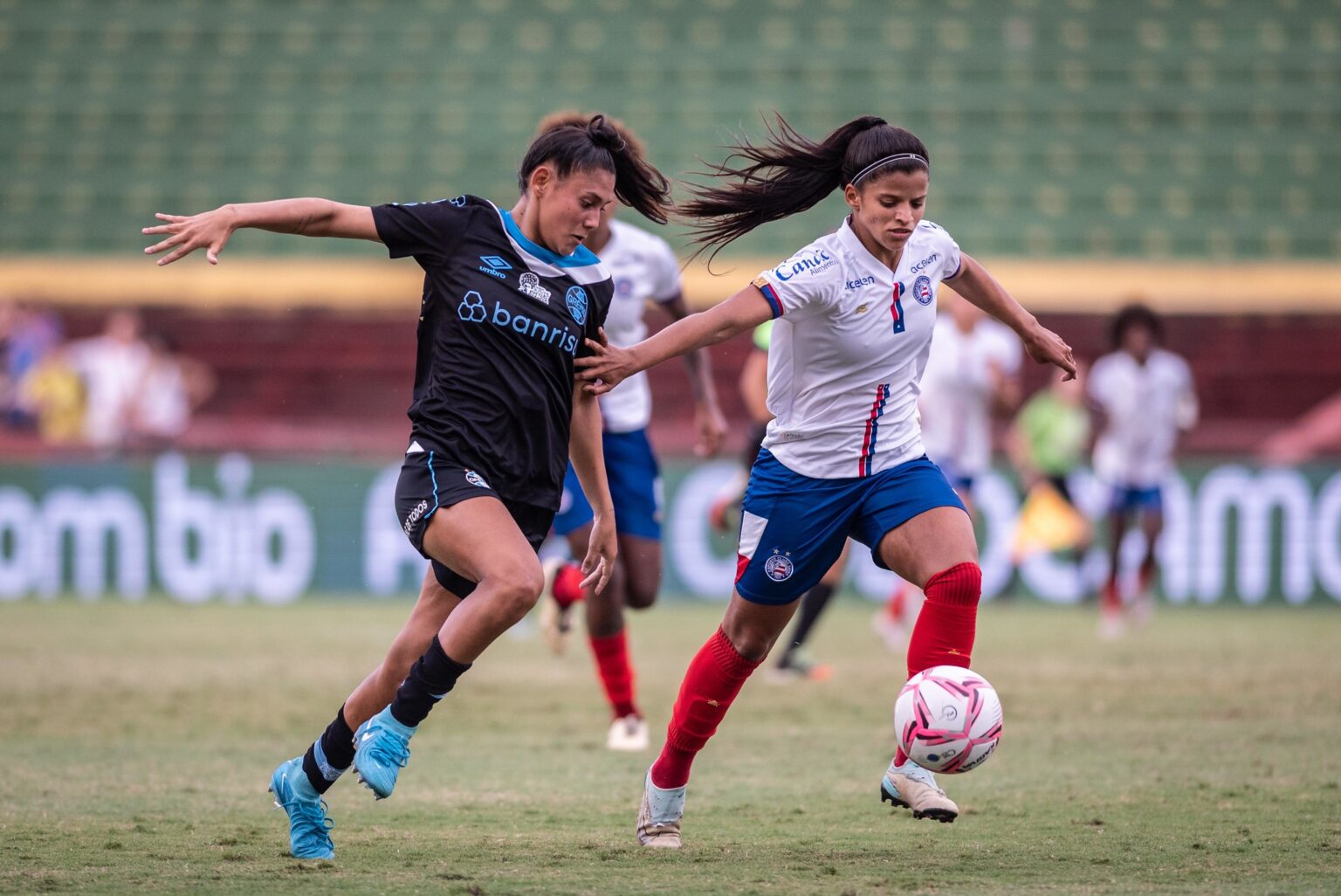 Guilherme Veiga / Brasil Ladies Cup