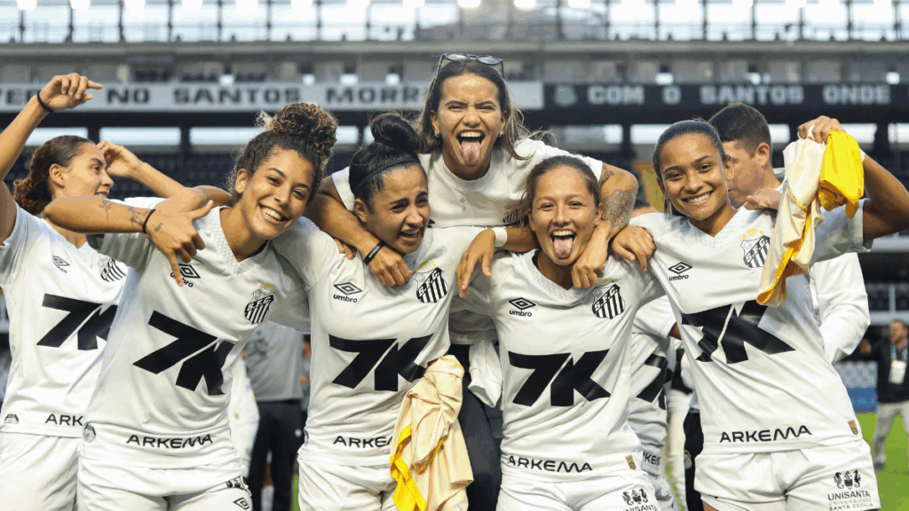 Rumo a A1 do Brasileirão: veja os clubes que subiram de divisão